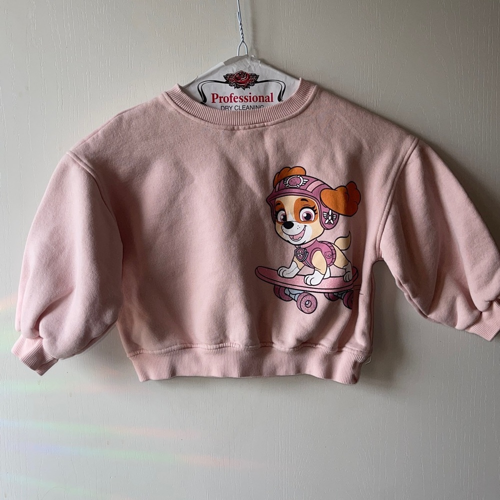 Zara Pink Cartoon Skate Pup Sweatshirt
